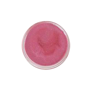 Close-up of Ooh Lala Pure Illumination Lip Gloss Tester Pot in small jar on white background for moistening & hydrating dry chapped lips