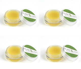 Image showing Pure Lano 4-count of the ultra-nourishing lip balm formula in a pot for flavor wintergreen. 