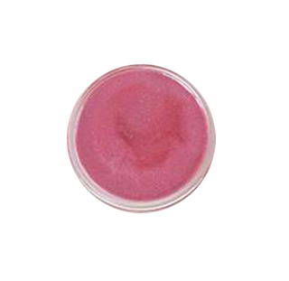pink orange coral shimmer lip gloss lanolin vitamin e